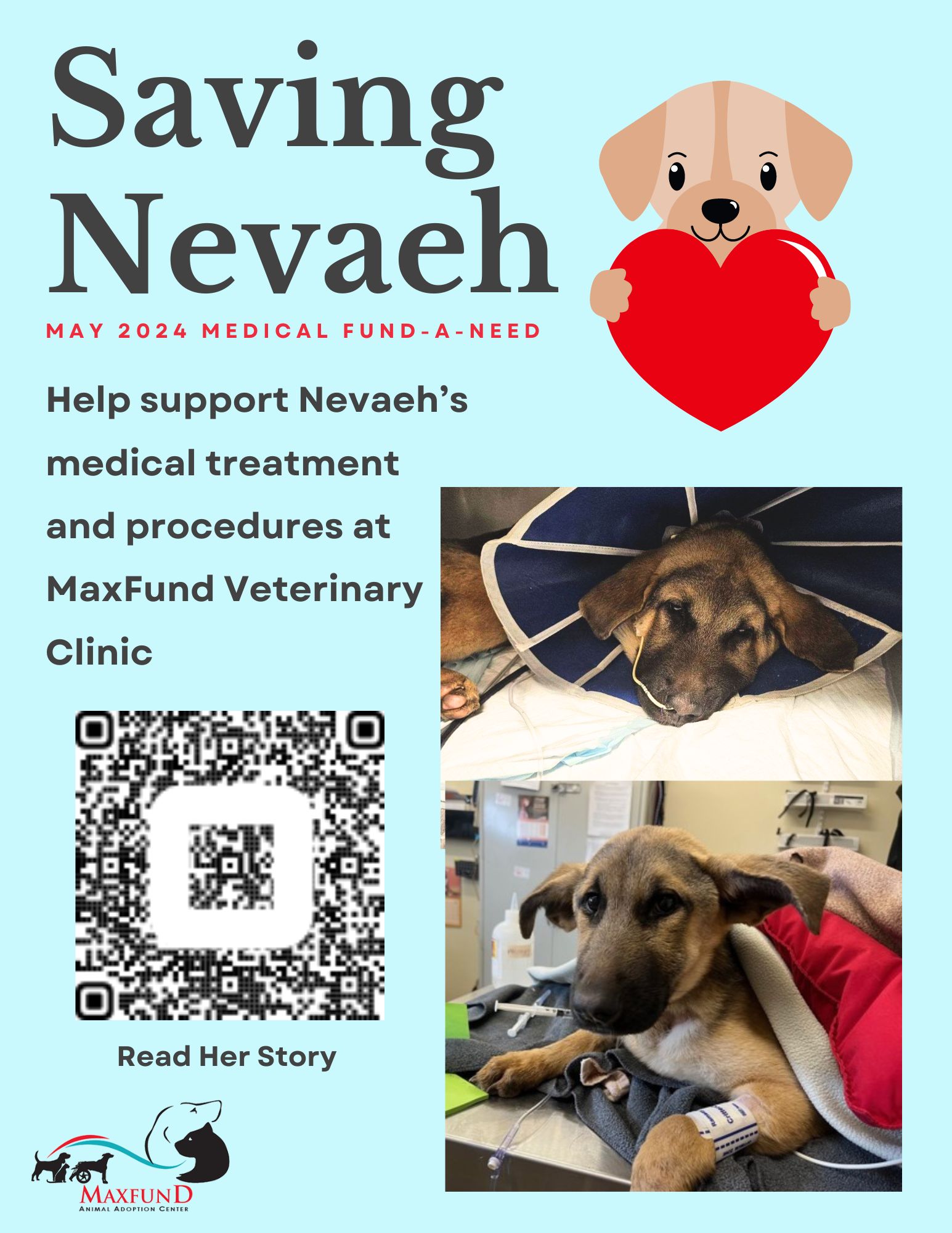 MaxFund Animal Adoption Center Denver's NoKill Animal Shelter